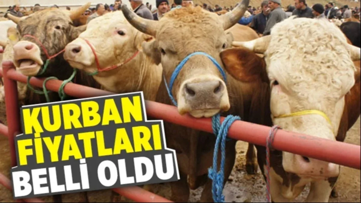 Kurban Piyasasında Son Durum! Fiyatlar Resmen Açıklandı